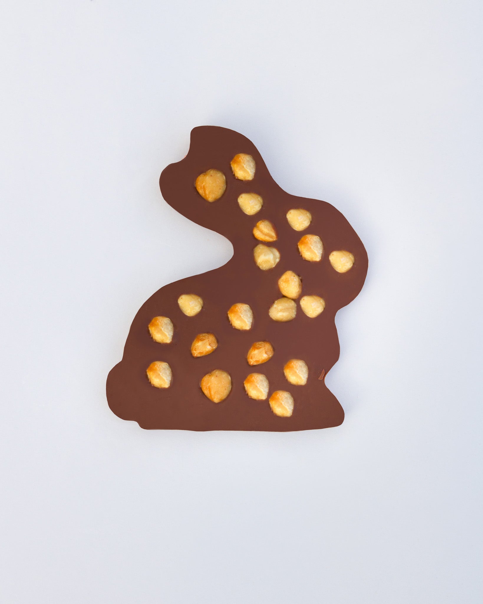 KSC Easter bunny made from milk chocolate with caramelized hazelnuts - 90g 